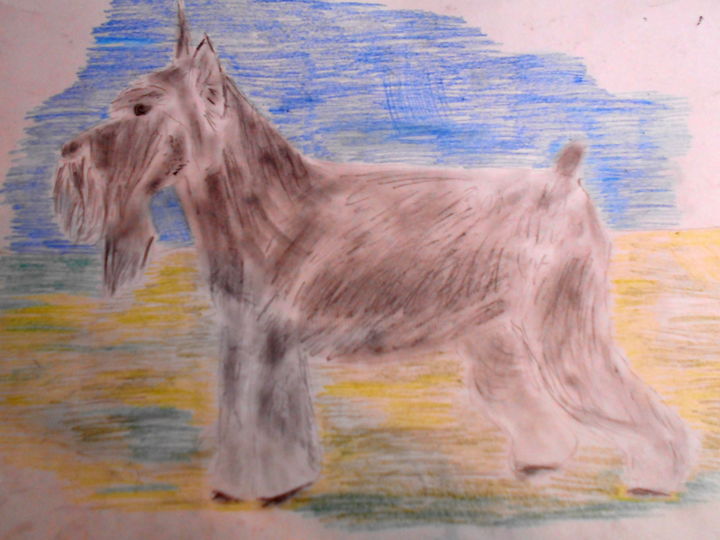 Capturing the Charm A Guide to Drawing Schnauzers