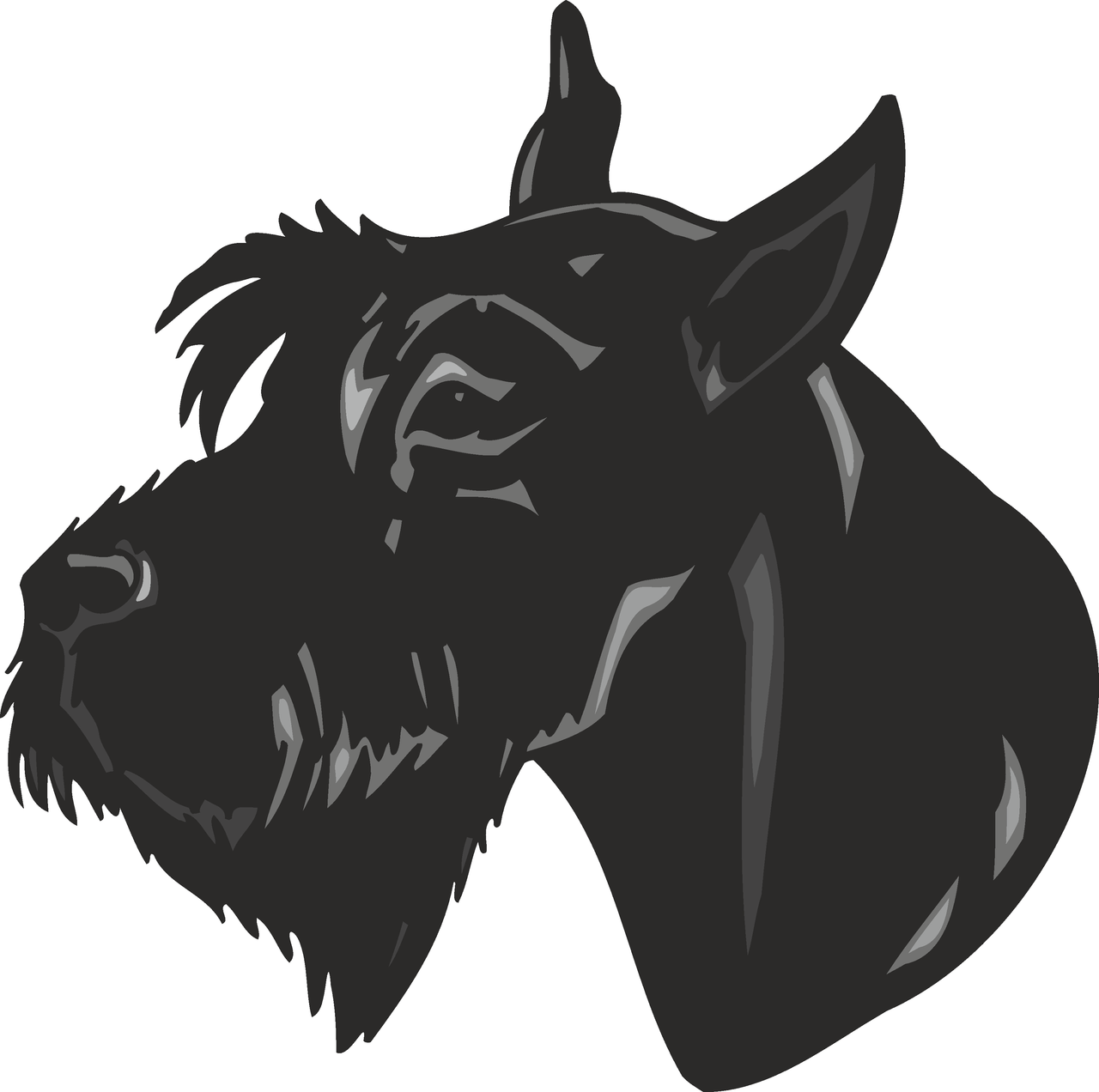 Giant Schnauzers A Powerful Force in Law Enforcement