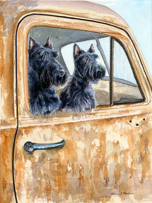 Schnauzer and Scottish Terrier A Comparative Guide