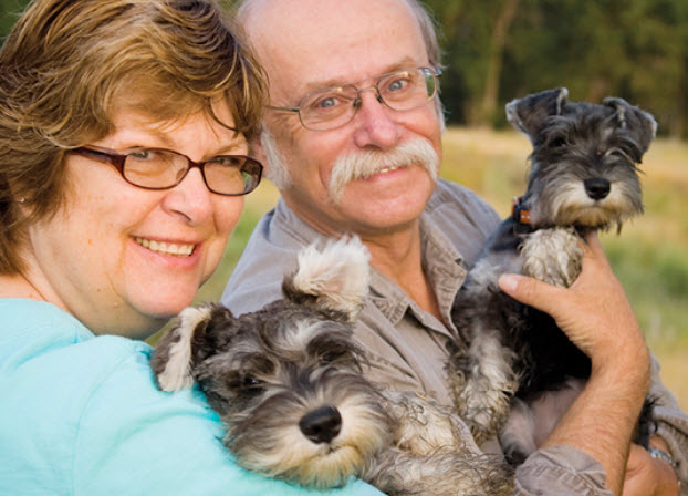 Understanding Miniature Schnauzer Behavior A Comprehensive Guide